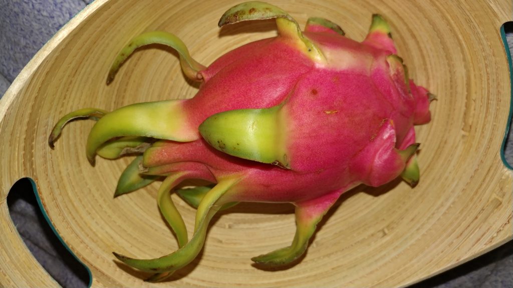 Dragon Fruit (Pitahaya)