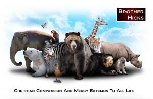 Christian Compassion And Mercy Extends To All Life – Christian Vegan Plant Based Diet