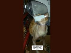 Make Sure To Have Suffocation Warning On All Poly Bags Suffocation Warning Required For Amazon