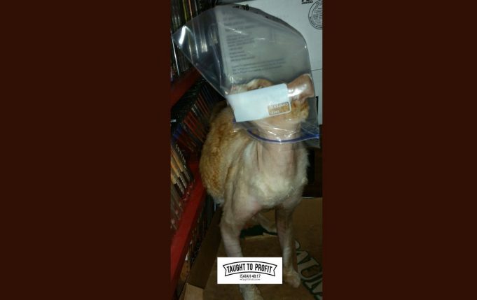 Make Sure To Have Suffocation Warning On All Poly Bags Suffocation Warning Required For Amazon