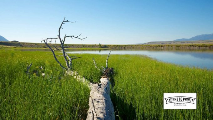 Are You Sabotaging Yourself And Not Even Noticing It?