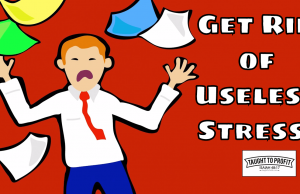 Useless Stress – Stop Causing Needless And Harmful Stresses In Your Life! Relieve Stress And Be Happy Today! Useless Stress - Stop Causing Needless And Harmful Stresses In Your Life!
