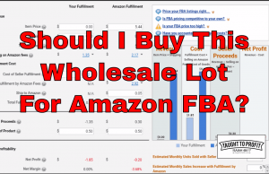 Q And A #4 – Should I Buy This Wholesale Lot Of Books For My Amazon FBA Business? Watch This To Avoid Huge Losses! Q And A #4 - Should I Buy This Wholesale Lot Of Books For My Amazon FBA Business? Watch This To Avoid Huge Losses!