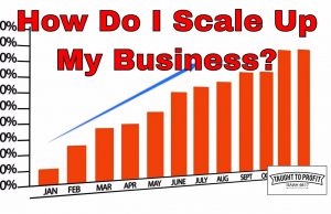 Q And A #5 – How Do I Scale Up My Business? Find A Good Team And Get Out Of Their Way