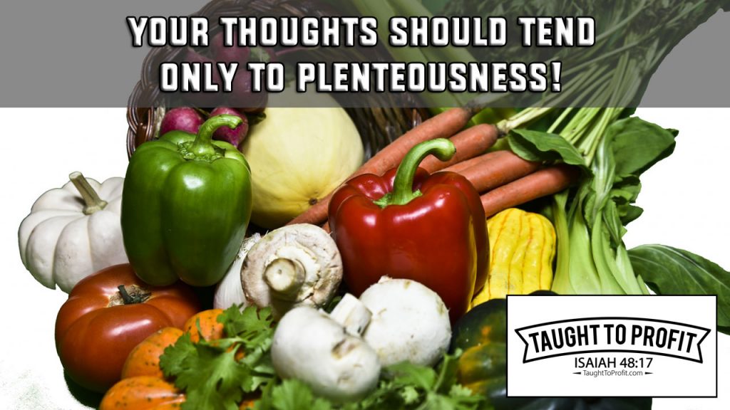 Your Thoughts Should Tend Only To Plenteousness!