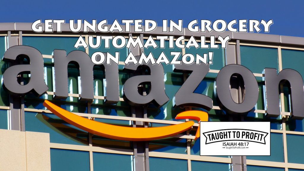 Amazon Seller Get Automatically Ungated To Sell Grocery And Used Learning Toys!