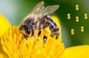 Stop Loving Money And Start Making Money Love You!