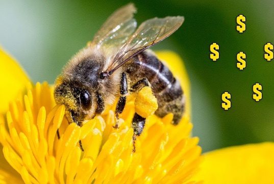 Stop Loving Money And Start Making Money Love You!