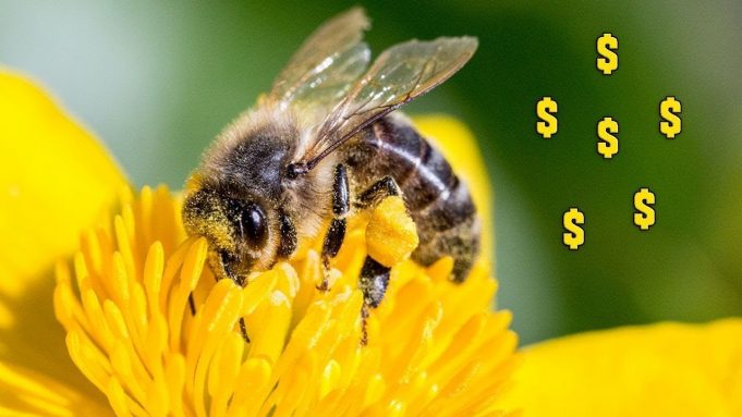 Stop Loving Money And Start Making Money Love You!