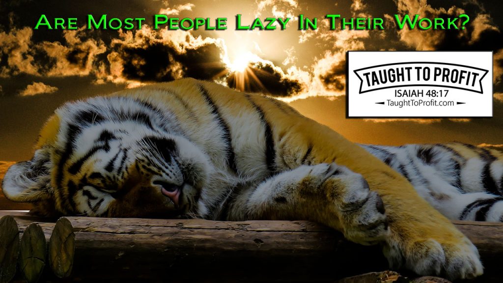 Are Most People Lazy In Their Work? Are You Lazy? You Might Be And Not Realize It!