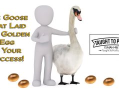 Are You Buying Golden Eggs Or The Goose That Lays Them? The Goose And Your Success!