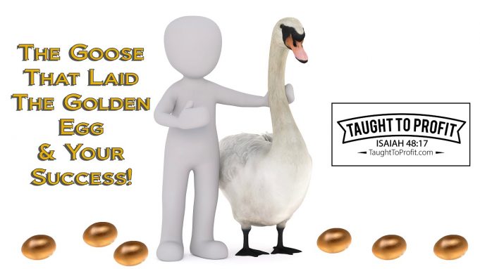 Are You Buying Golden Eggs Or The Goose That Lays Them? The Goose And Your Success!
