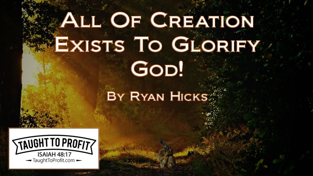 All Of Creation Exists To Glorify God!