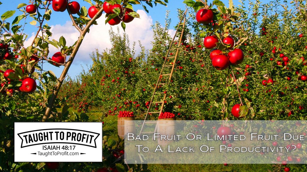 Bad Fruit Or Limited Fruit Due To Lack Of Productivity?