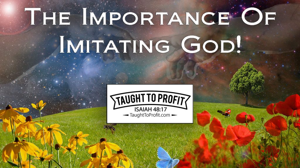 The Importance Of Imitating God - Co-Creators With God Book By Ryan Hicks