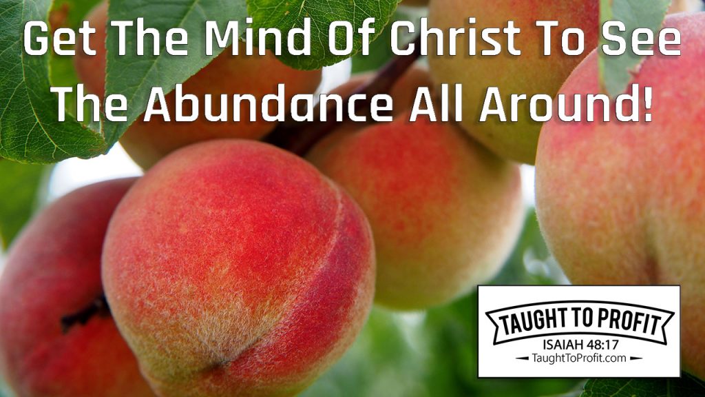Get The Mind Of Christ To See The Abundance All Around