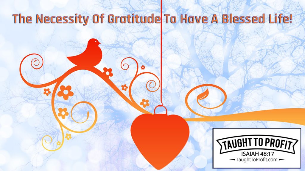 The Necessity Of Gratitude To Have A Blessed Life!