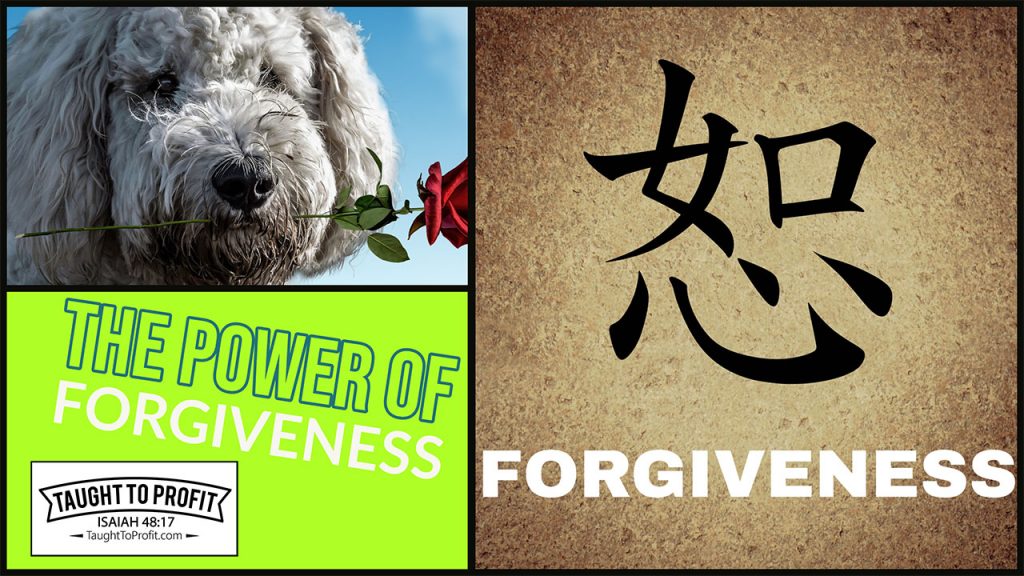 The Power Of Forgiveness To Change Your Life