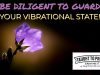 Be Diligent To Guard Your Vibrational State!