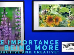 The Importance Of Being More Productive And Creative!