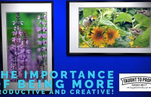 The Importance Of Being More Productive And Creative!