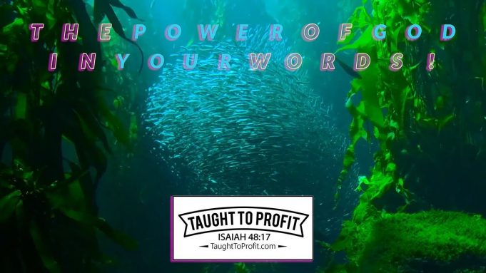 The Power of God In Your Words!