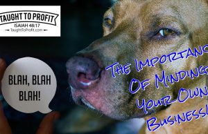 The Importance Of Minding Your Own Business!