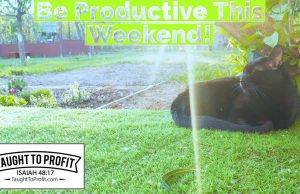 Be Productive This Weekend (AND EVERY WEEKEND FROM THIS DAY FORWARD)!