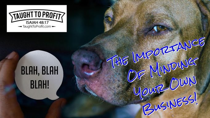 The Importance Of Minding Your Own Business!