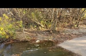 Peaceful Live Chat About The Abundance Of God Peaceful Live Chat About The Abundance Of God