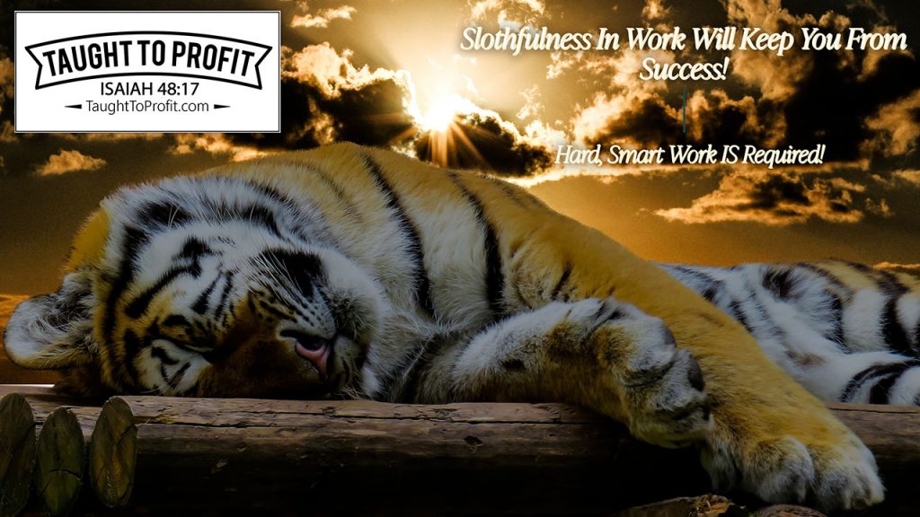 Slothfulness In Work Will Keep You From Success! Hard, Smart Work IS Required!