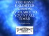 You Have Unlimited Wisdom Available To You At All Times!