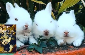 Why Every Christian Should Be A Vegan – Introduction And Chapter 1! Book By Ryan Hicks