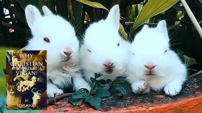 Why Every Christian Should Be A Vegan – Introduction And Chapter 1! Book By Ryan Hicks