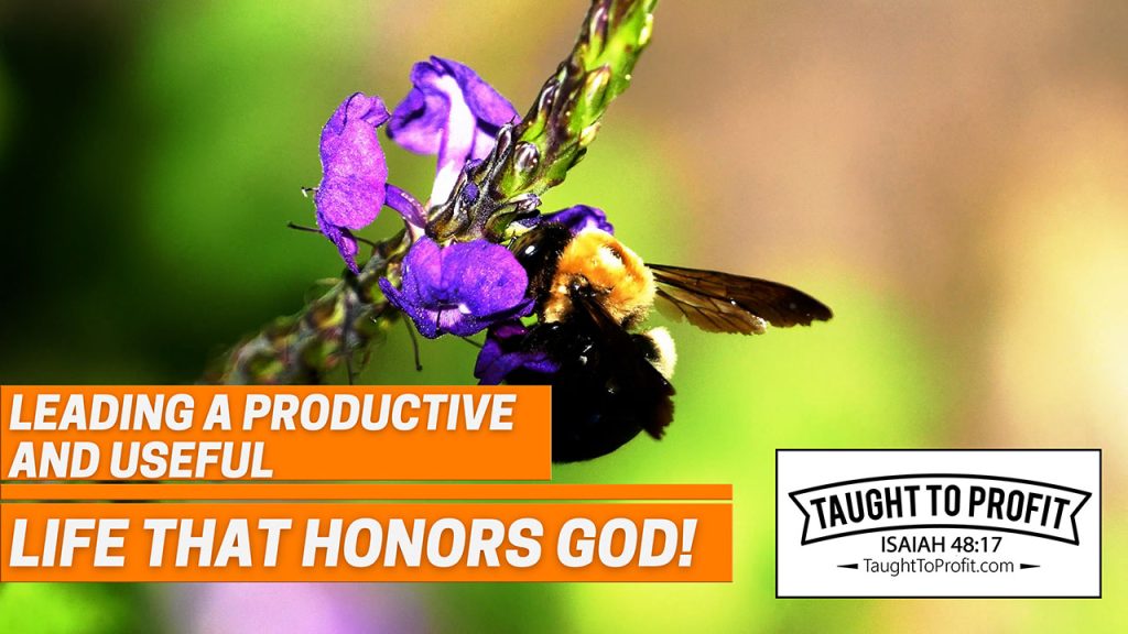 Leading A Productive And Useful Life That Honors God!