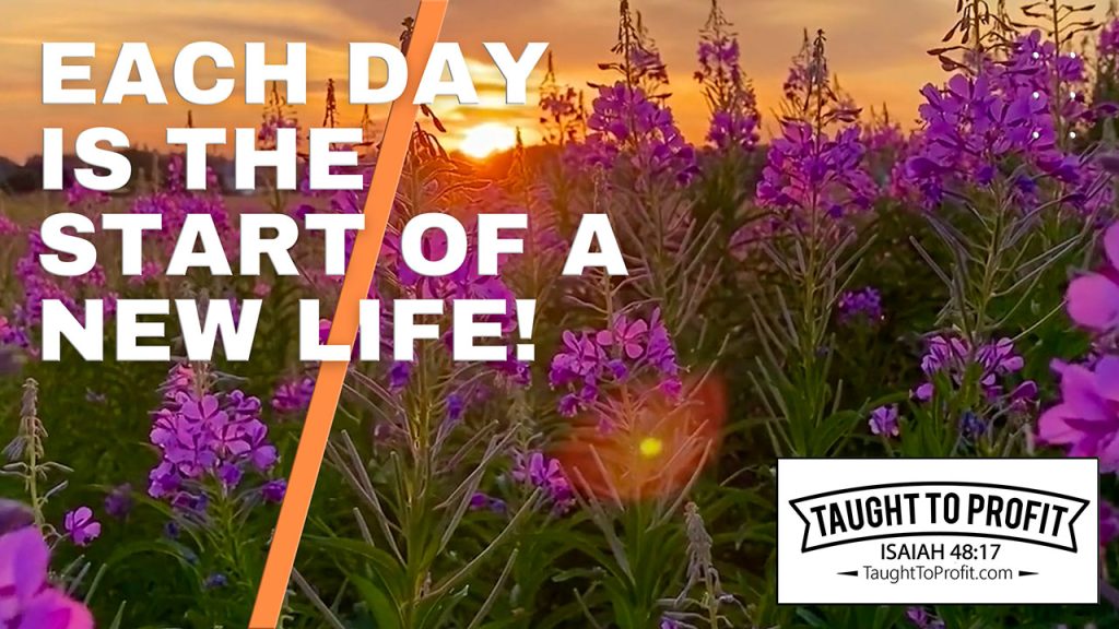 Each Day Is The Start Of A New Life!