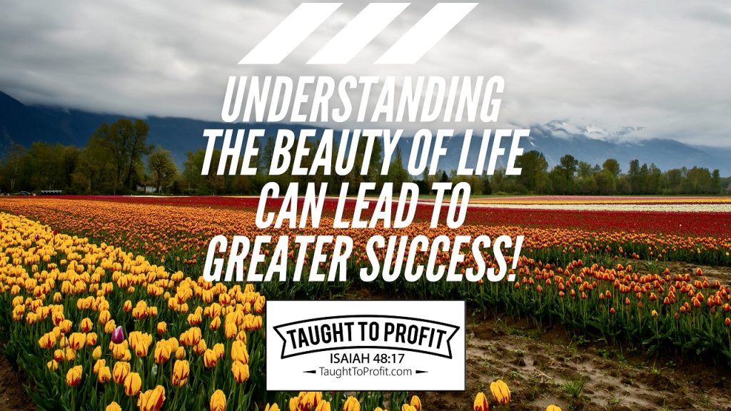 Understanding The Beauty Of Life Can Lead To Greater Success!