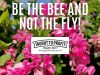 Look For Beauty And Not For Unclean Things – Be The Bee And Not The Fly!