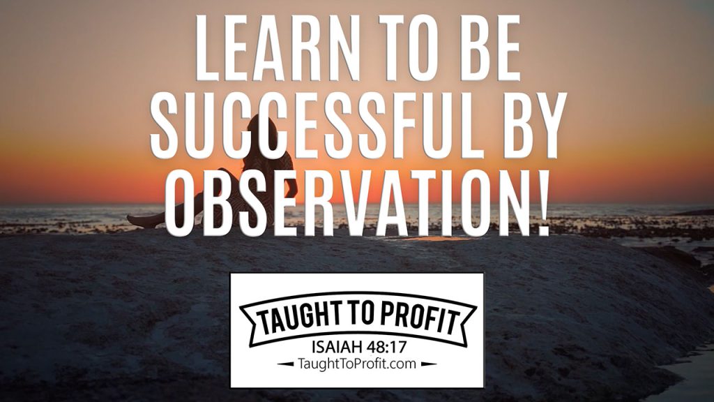 Learn To Be Successful By Observation!