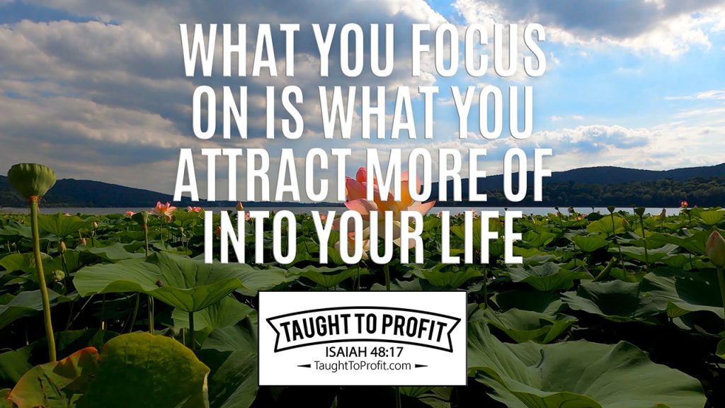 What You Focus On Is What You Attract More Of Into Your Life!