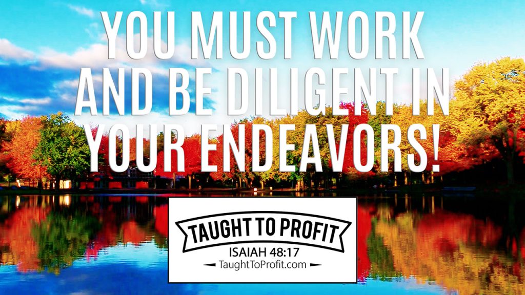 You Must Work And Be Diligent In Your Endeavors!