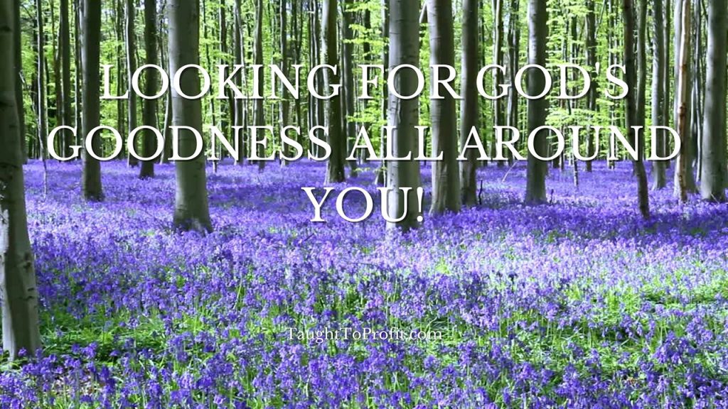 Looking For God's Goodness All Around You!