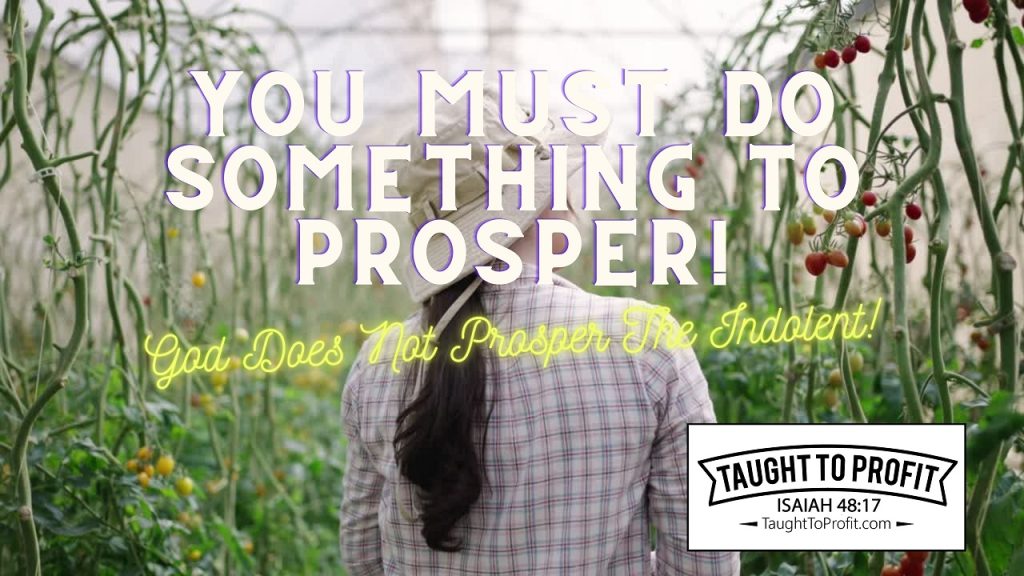 You Must Do Something To Prosper! God Does Not Prosper The Indolent!